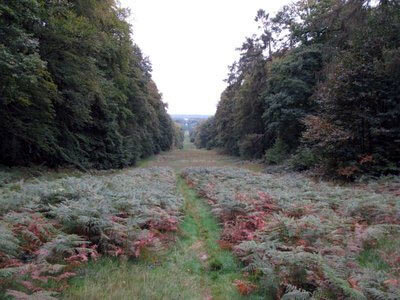 Ride in the Retz Forest at Villers Cottérêts: Battle of Villers Cottérêts on 1st September 1914 in the First World War
