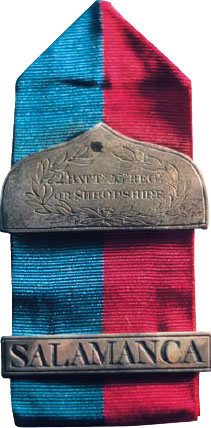 Chevron awarded to Sergeant Thomas Cox of the 53rd Regiment for bravery at the Battle of Salamanca on 22nd July 1812 during the Peninsular War, also known as the Battle of Los Arapiles or Les Arapiles
